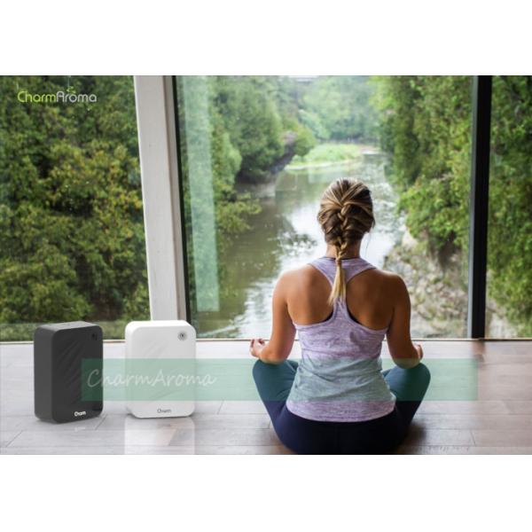 Auto Locking  Aromatherapy Essential Oil Diffuser 3 Pieces D Size Batteries Powered