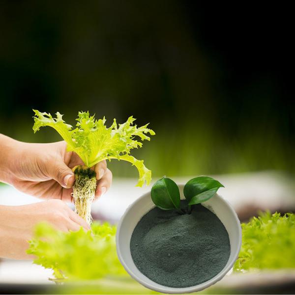 Soy Protein Hydrolysate Amino Acid Chelated Micronutrients Copper Organic Fertilizer