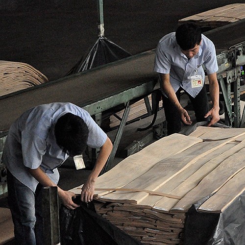 Guangdong Great Forest New Decoration Materials Co.,LTD.