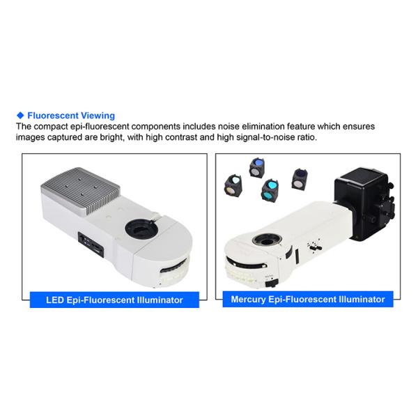 OPTO EDU A16.1093-L Trinocular LED Upright Fluorescent Light Microscope Semi Auto