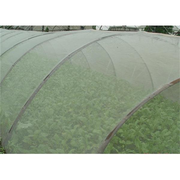 Durable 5 Years Usage Insect Repellent Net 20x10 Anti Aphid Net Growing Greenhouse