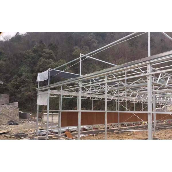 Chongqing Qing Cheng Agricultural Science And Technology Co., Ltd.
