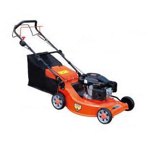China 6 HP Cylinder Petrol Lawn Mower Garden Portable Lawn Mower With B&S or Honda Engine on sale
