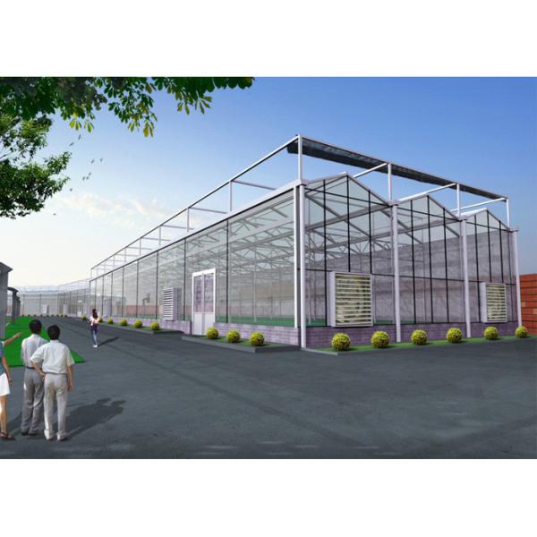 Venlo Tempered Glass Greenhouse Durable With Hydroponic Growing System