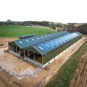 Custom Cattle Shed Steel Structure Prefab Cattle Barns Dairy Farm Agricultural Buildings