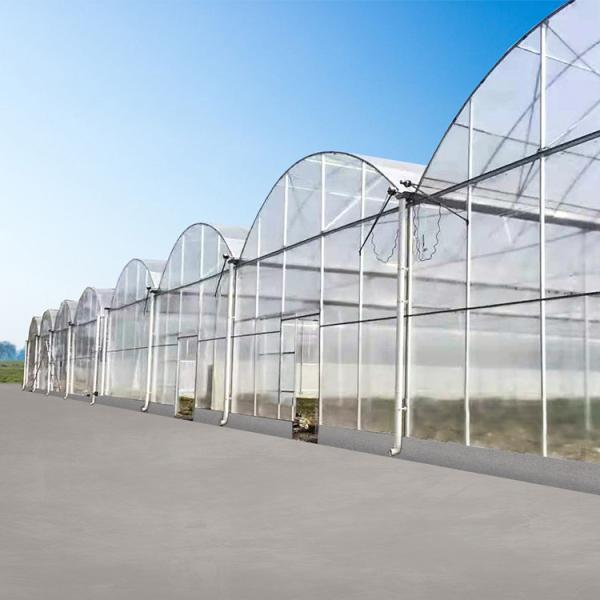 Agricultural Farm Multispan Polycarbonate Panels Greenhouse with Shading System