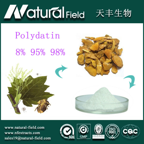 ample can be offered polydatin powder 98% Reynoutria japonica Houtt powder