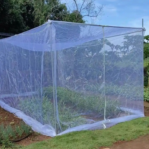 5000s With UV Garden Netting For Greenhouse Agricultural Grapes 