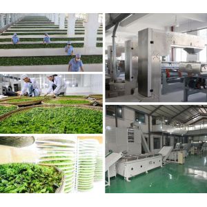 Ningxia Amorberry Foodstuff Co., Ltd.