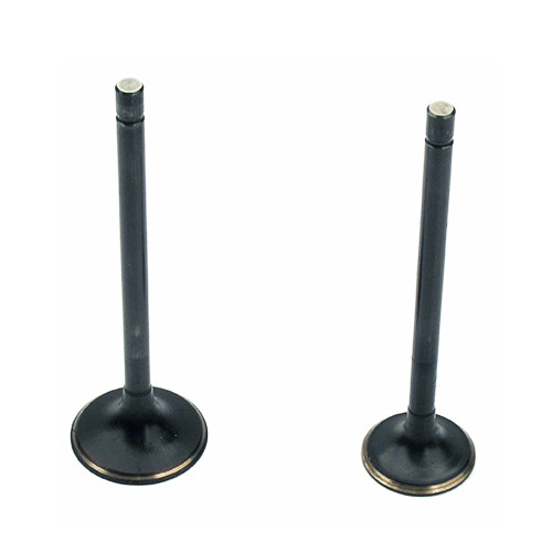 Grade A Aftermarket Motorcycle Engine Valve For BAJAJ 3W4S CNG 175CC Model