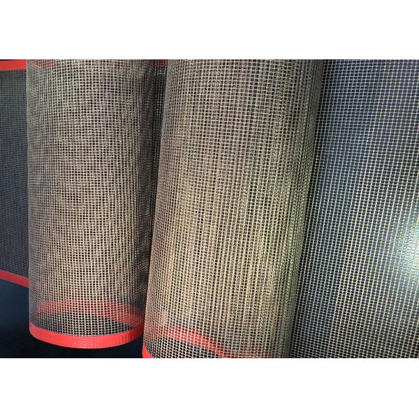 Acid Resistance Teflen Conveyor Belt