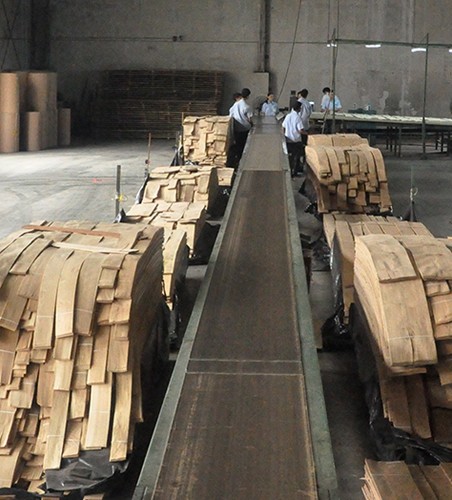 Guangdong Great Forest New Decoration Materials Co.,LTD.