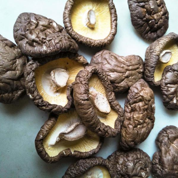 Premium Dried Shiitake Mushrooms Healthy Nutritious Delicious