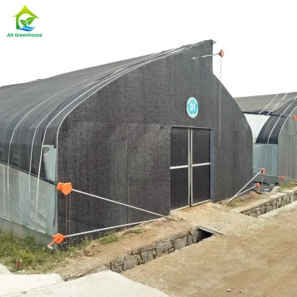 Sawtooth single-span film shade net blackout greenhouse for growing mushrooms