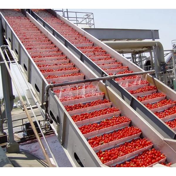Customizable Tomato Processing Line Hot Or Cold Crushing Options For Fresh Tomatoes