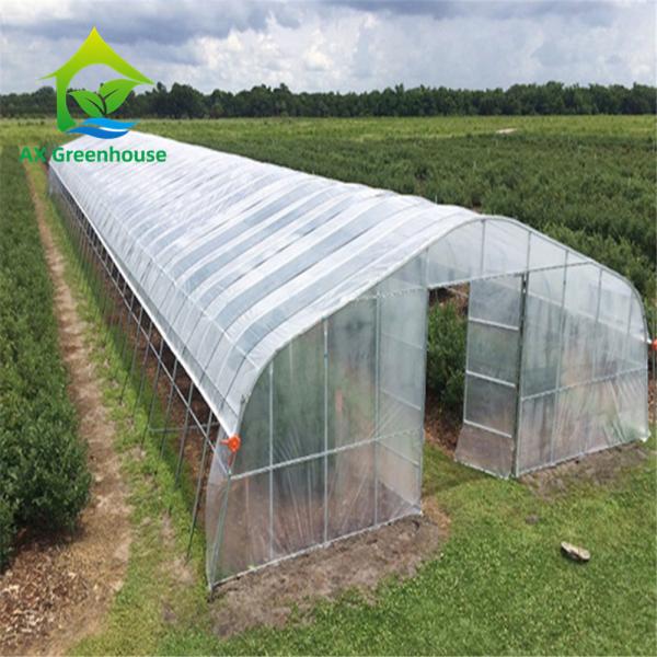 Economical 200 Mircon Polyfilm Walk In Tunnel Greenhouse For Tomato