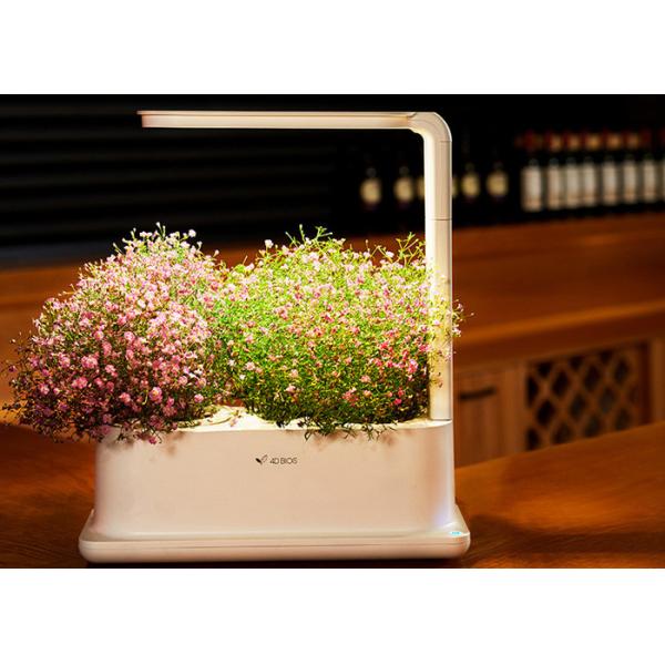 3pcs Plant PP Home Hydroponic Growing Systems With Led Light