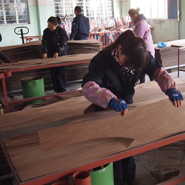 Guangdong Great Forest New Decoration Materials Co.,LTD.