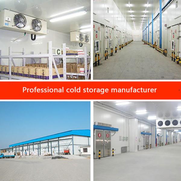 50mm Panel Refrigerator Cold Room For Fruit Refrigeration Freezer Room