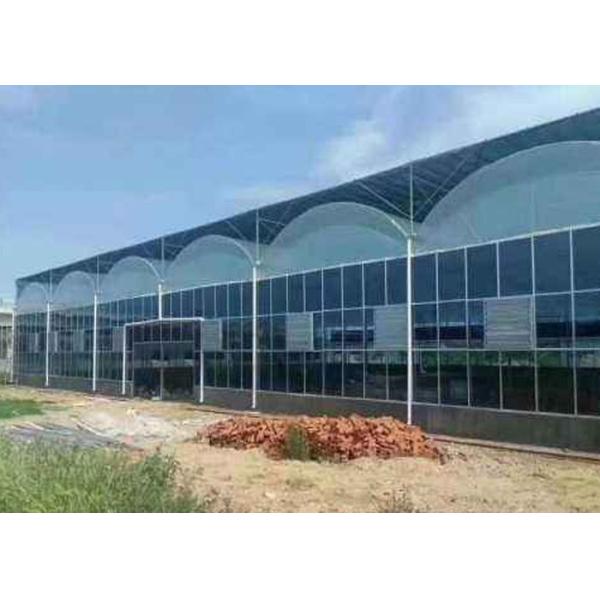 Intelligent Agricultural Greenhouse Steel Frame For Vegetables Garden Tomato