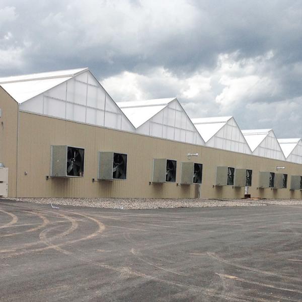 Blackout System Polycarbonate Auto Light Dep Poly Greenhouses 30-60m