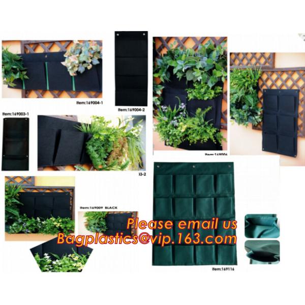 Black & White Poly Film  Panda Poly Film Light Deprivation Greenhouse Cover UV Treated Horticulture Poly Film Sheeting