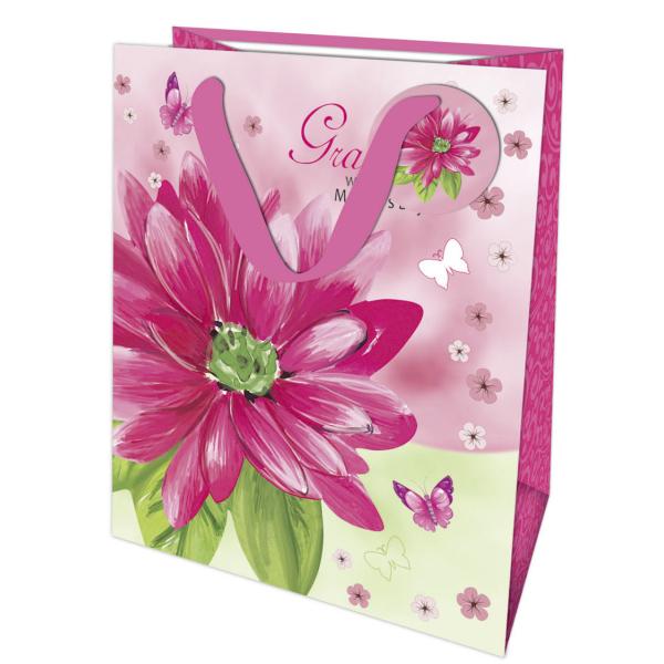 Euro Style Paper Shoppers for Gift Packaging for Party, Holiday, Wedding
