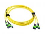 USCONEC 48 Fibers Optical MTP Female Truck Cable Assembly Patch Cord for Data
