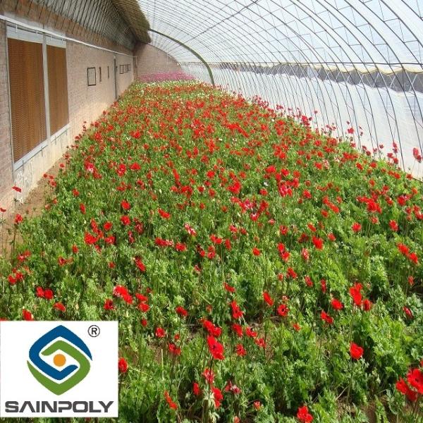 Galvanized Agriculture Vertical Commercial Hydroponic Greenhouse Multi Span