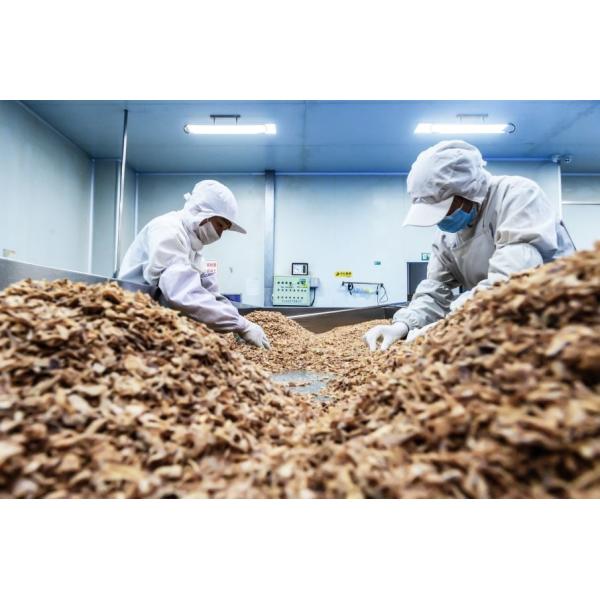 Yellow Gold Delicious Fried Crispy Onion Bits