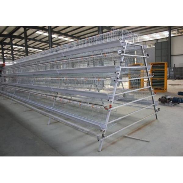 3 Tiers Pakistan Livestock Farming Equipment 96 Birds Egg Laying Hens