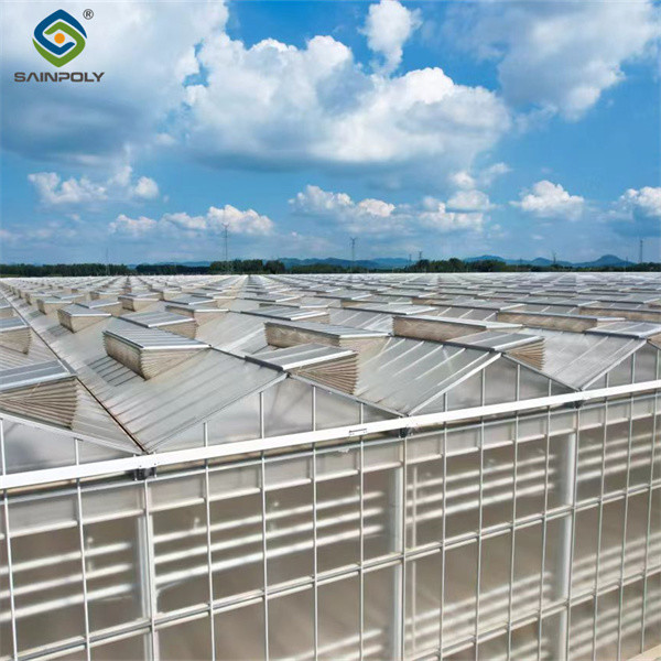 Multi Span Venlo Greenhouse Agricultural Polycarbonate Green House