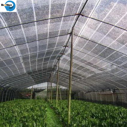 New HDPE Agriculture Greenhouse Garden Black Plastic 70% Sunshade Netting, Vegetable Greenhouse Dark Green Sunshade Net