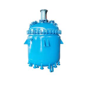  Paddle 300L Chemical Reactor Cladding Cubic Glass Lined Reactor Manufactures