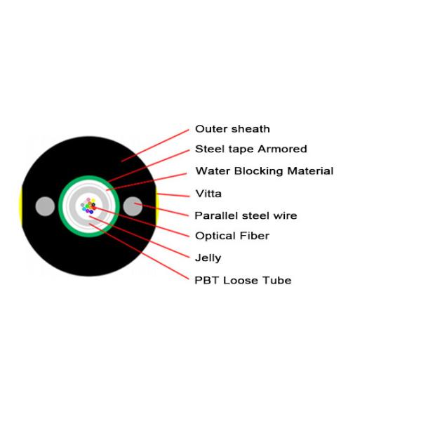 Singlemode GYXTW 12core Armoured Fiber Optic Cable G652D