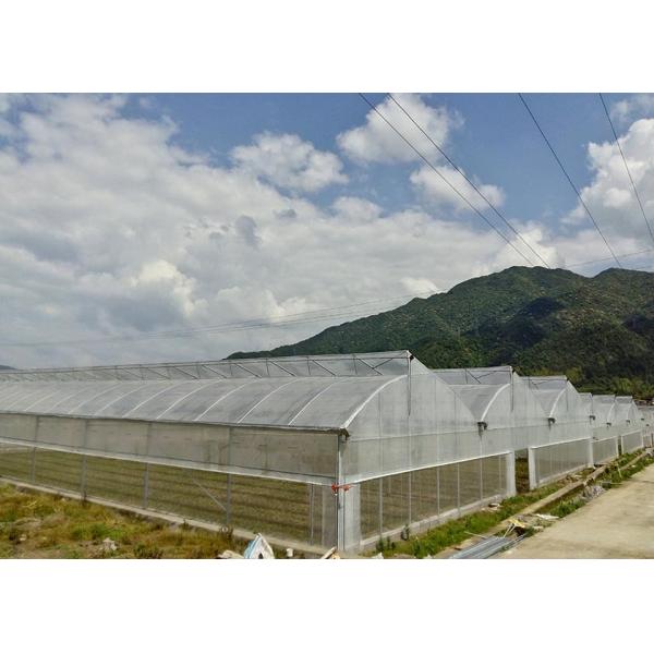 Hot-Dipped Galvanized Large Greenhouse with UV-Resistant Plastic Cover