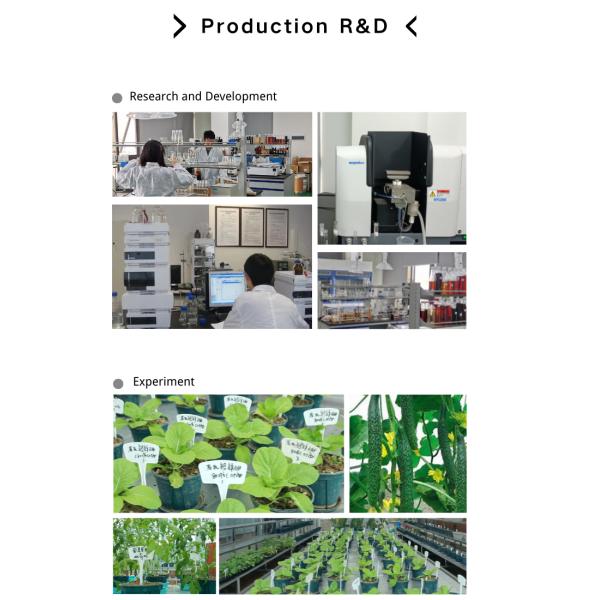 Plant Source Enzymatic Foliar Fertilizers Amino Acid 80% Bio Organic Fertilizer