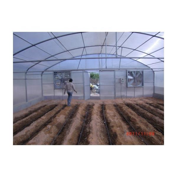 200 Micron Single Span Greenhouse High Capacity Plastic Film Greenhouse