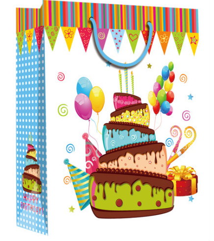 Custom Matt Laminated Paper Carrier Bags