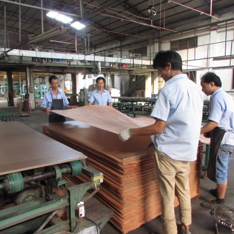 Reconstituted Black Walnut Burl Wood Veneer WTB-X2043 0.15-0.55mm For Indoor Decorative Board