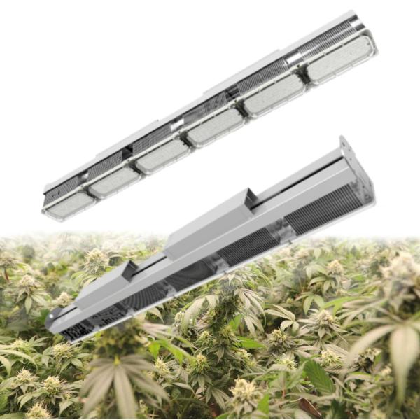 No Shading Greenhouse LED Grow Lights For Succulents Full Spectrum