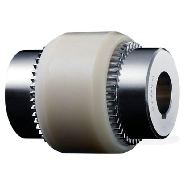 NL1-NL10 Size Flexible Jaw Coupling with ISO9001 Certification and +/-0.05MM Tolerance for Precision Applications