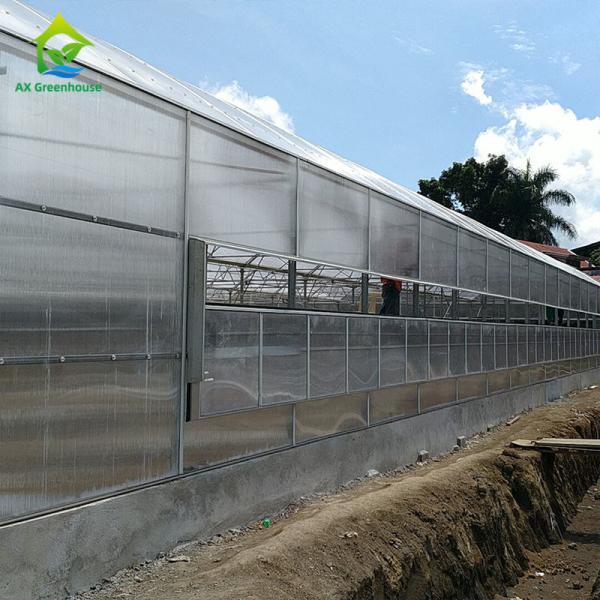 6-12mm Polycarbonate Panel Greenhouse Cover Materials For Extreme Weather Areas