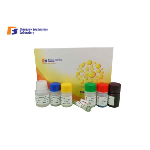 96 Wells Customized Human Corticotropin Releasing Hormone CRH ELISA Kit