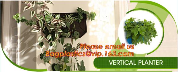 black/silver/white/blue biodegradable plastic agricultural mulch film price,20 micron white black plastic mulch film UV