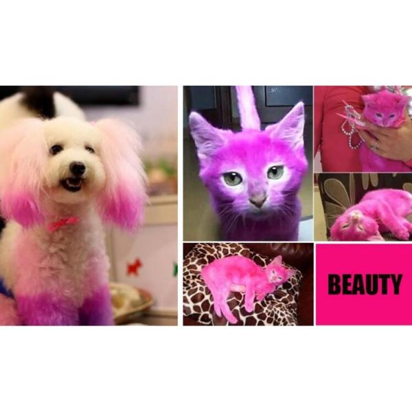 3 color long-lasting animal marker crayon/safety and beauty color rotating animal marker crayon