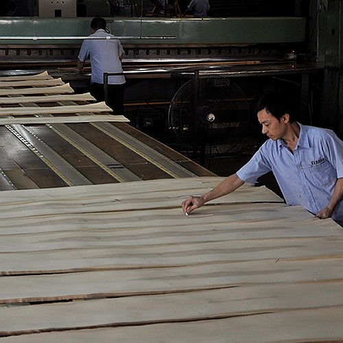 Guangdong Great Forest New Decoration Materials Co.,LTD.