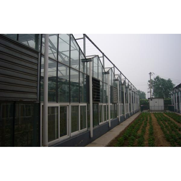 Chongqing Qing Cheng Agricultural Science And Technology Co., Ltd.