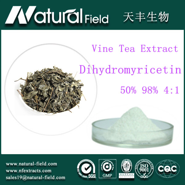 Wholsale Vine tea extract Dihydromyricetin 98%