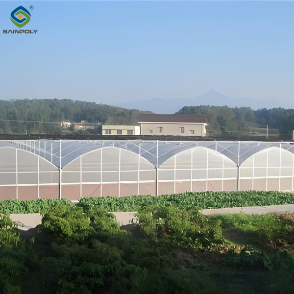 Galvanized Steel Frame Large Economical Plastic Film Greenhouse For Optimal Growth